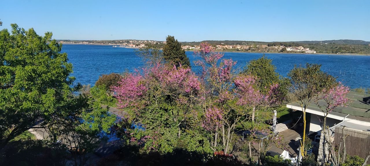 LOCATION-BALARUC-LES-BAINS-41-RESIDENCE-AQUALIOS-HYPPOLITE-FRANCOISE (4)