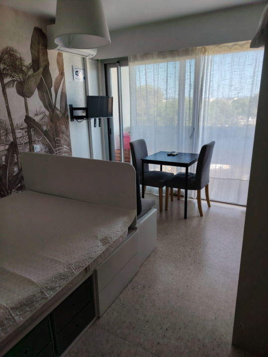 LOCATION BALARUC LES BAINS RESIDENCE DE L'ETANG MALET AMBRE (1)