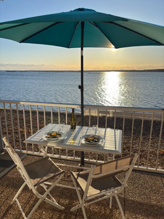 LOCATION BALARUC LES BAINS RESIDENCE FLAMANTS ROSES COURS FLORIAN (7)