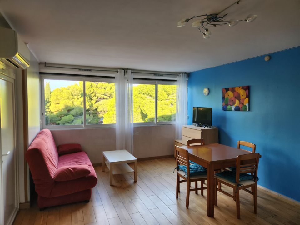 LOCATION BALARUC LES BAINS RESIDENCE THERMES 2 (4)