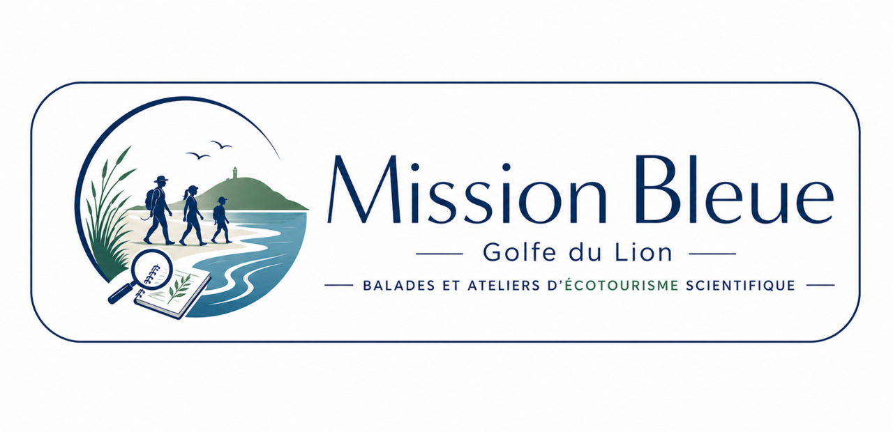 Logo Mission bleue