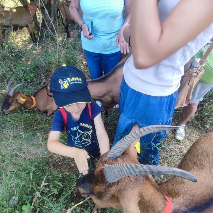 MAS ALENGRIN