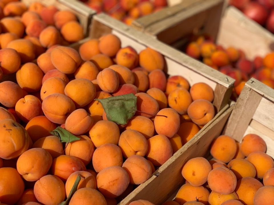 Marché Abricots