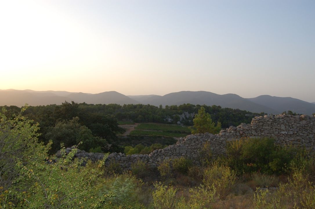 Mas Champart Dans la garrigue