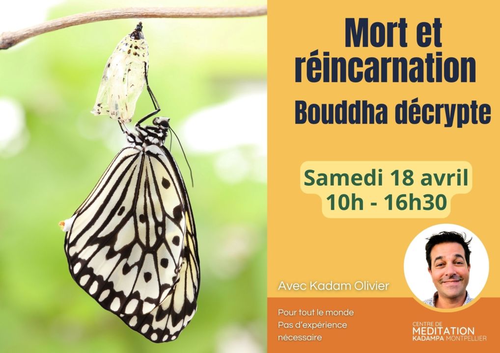 Mort et réincarnation