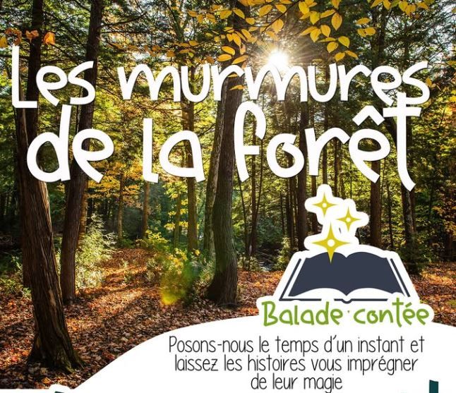 Murures de la foret-cebenna-FMA-241026