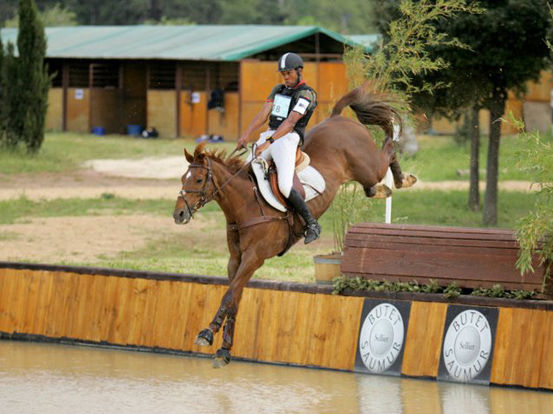 N2 équitation 195 x 146 copie