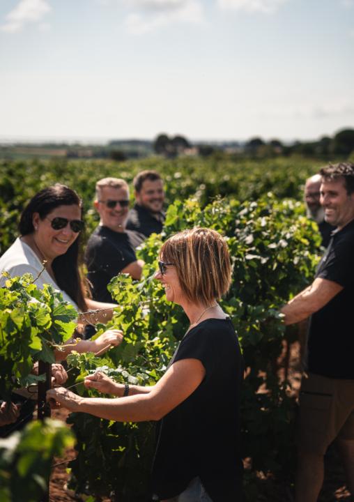 Nos vignes et vignerons