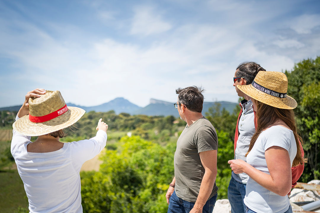 wine-tour-demi-journée-pic-saint-loup - Montpellier Winetours