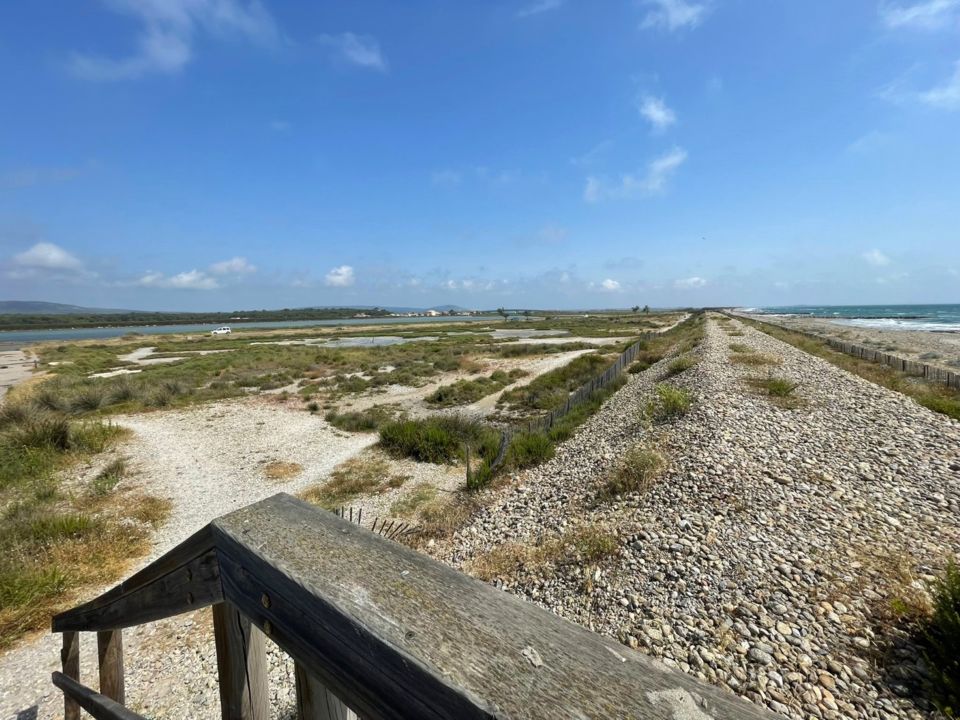 Visites commentées de Frontignan avec Divers Uni Vers