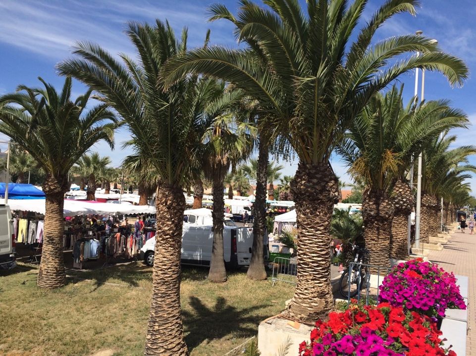 Marché aux puces, à la brocante et aux fleurs