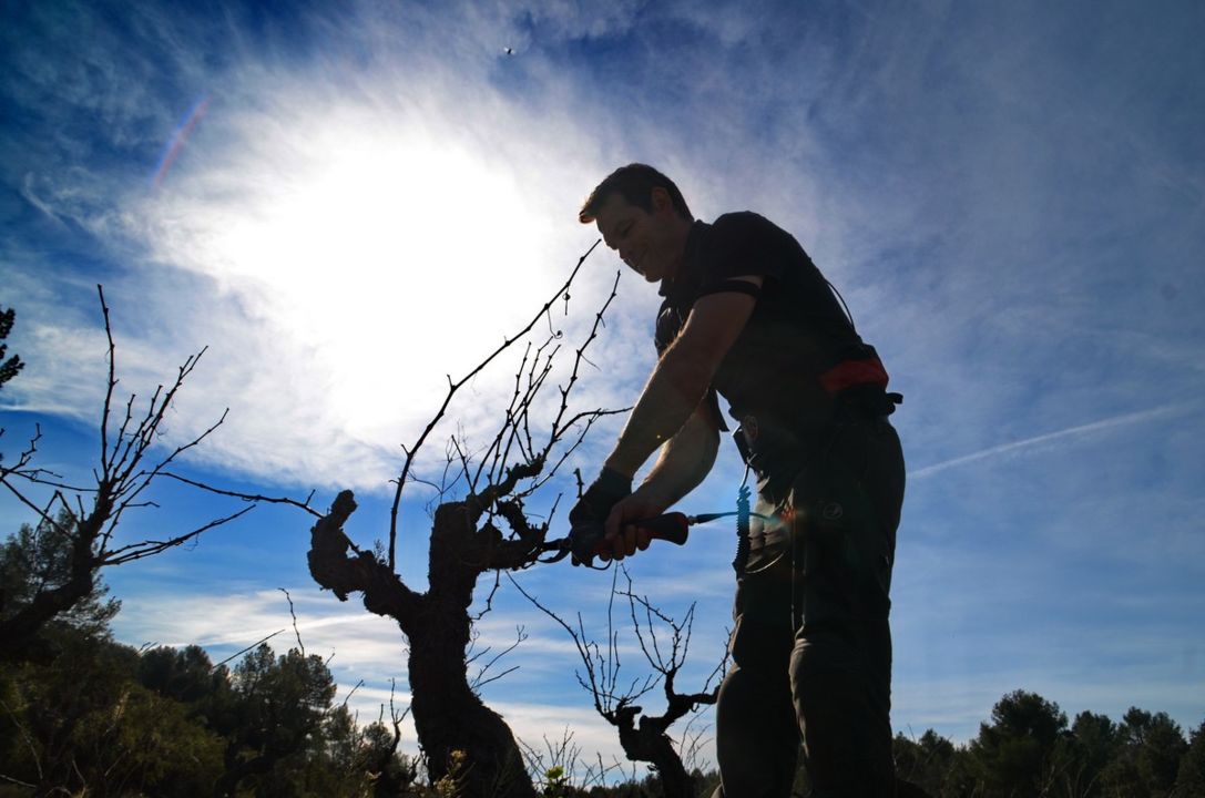 Sébastien-Galtier-paysan-vigneron-3