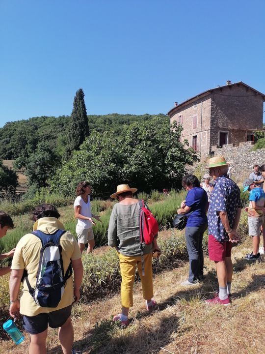 Sophie DE CLOCK - DOMAINE DE POUZES