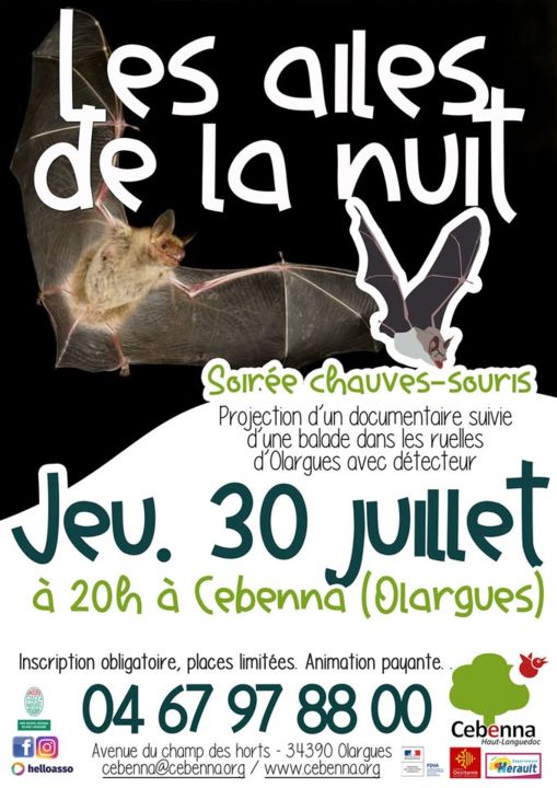 Sortie Nocturne - cebenna 30juil26