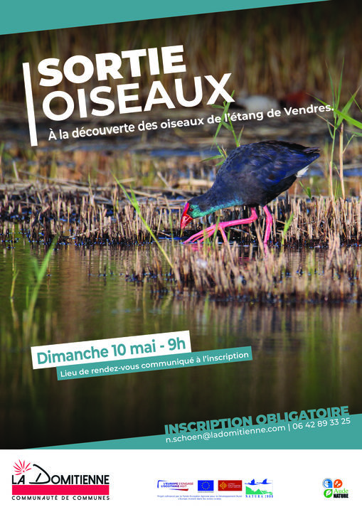 Sortie oiseaux 10 mai 2026 - IMPRESSION