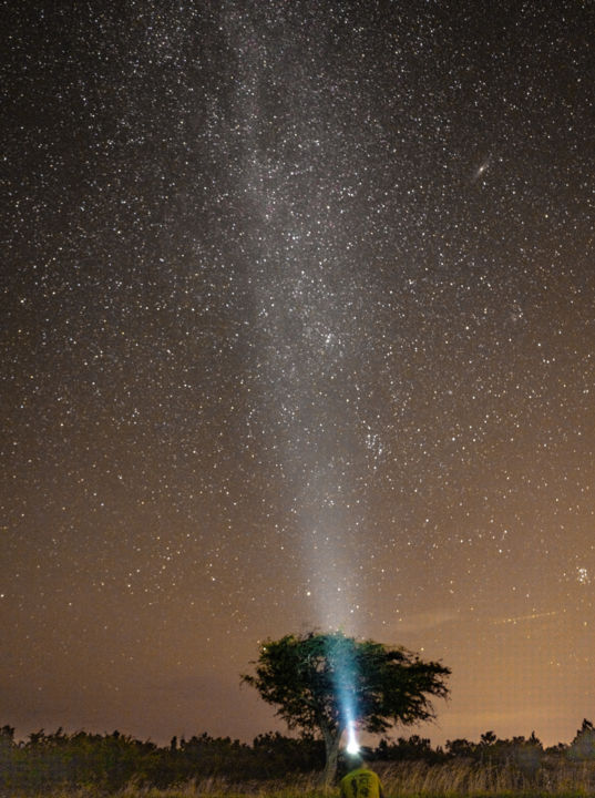 Sortie sous les etoiles©Loïc Fermy
