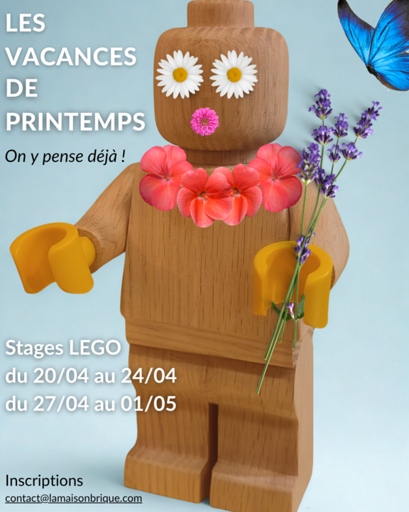 Sans titre (Publication Instagram (4:5)) - Stages d'automne 25