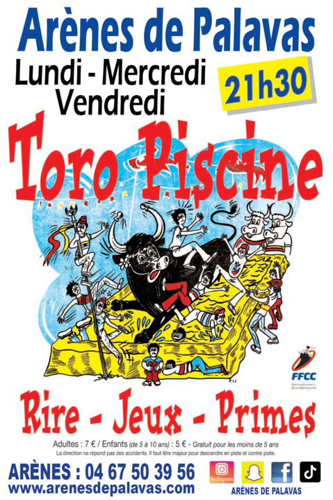 Affiche Toro Piscine