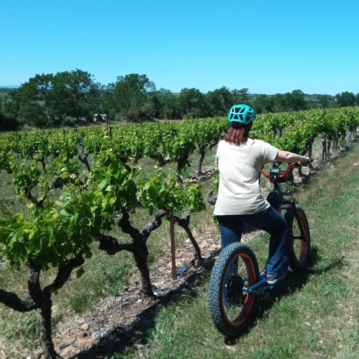 TROTT VIGNE 1080x1080