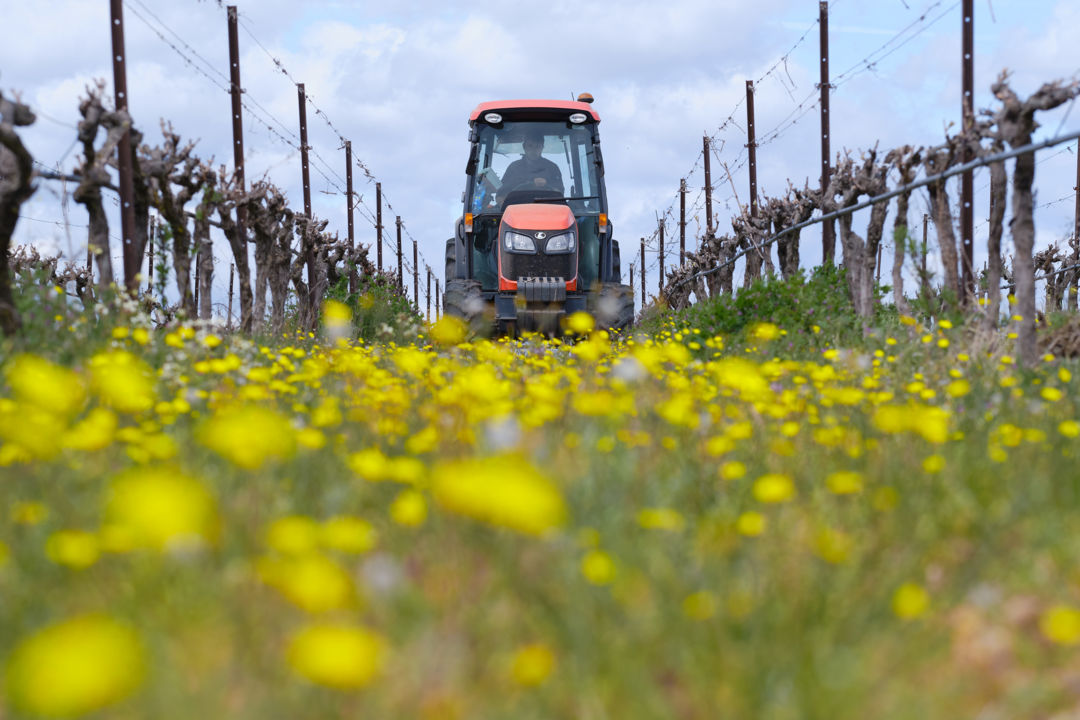 Desherbage méchanique