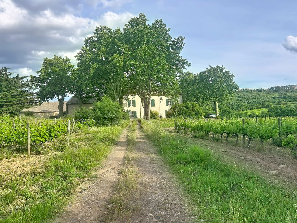 Vignoble de 25 hectares