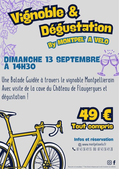 Vignoble et dégustation
