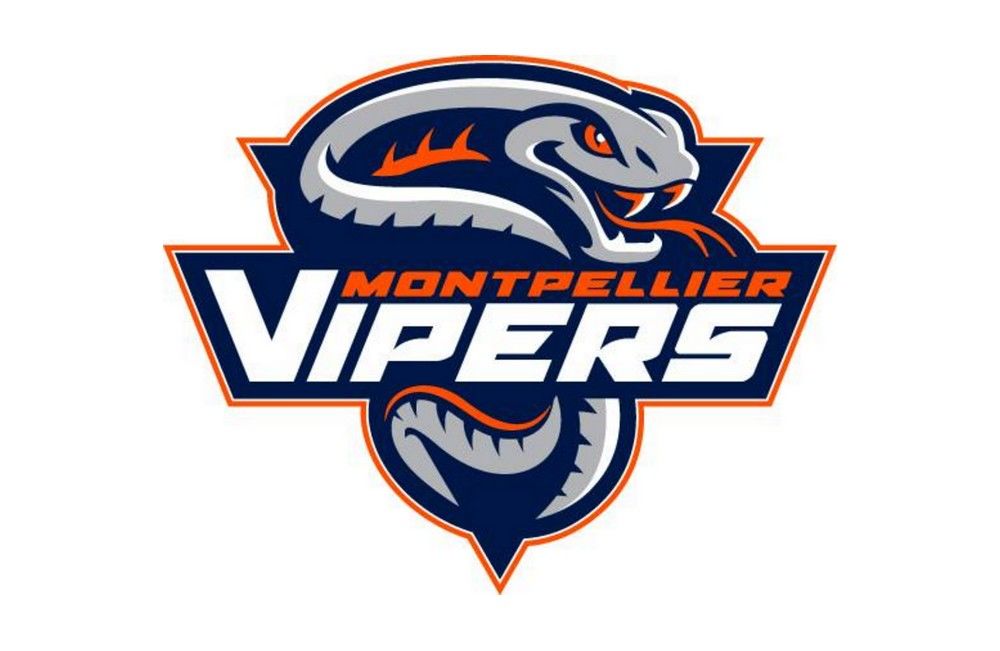 Vipers1