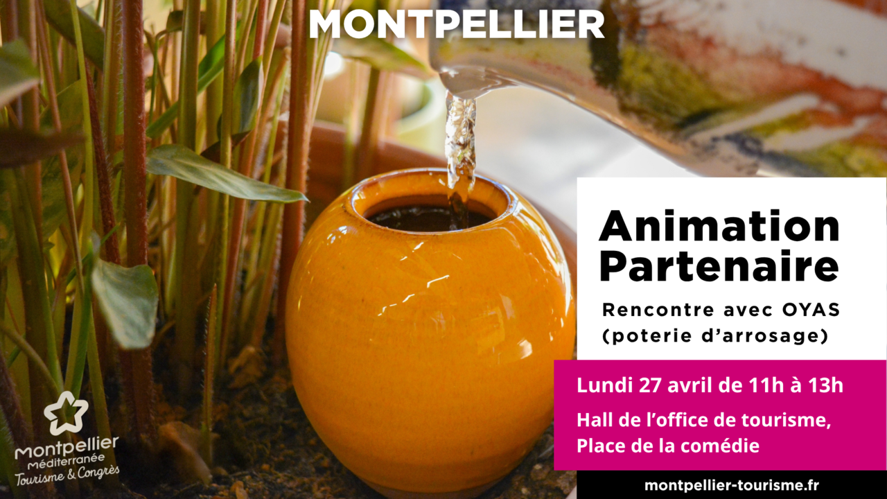 Visuels animation boutique - 5