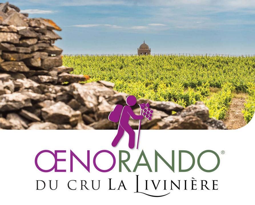 affiche-oenoliviniere