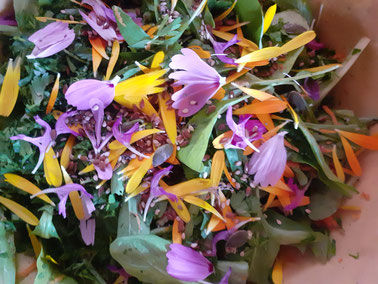 atelier végétal gourmand
