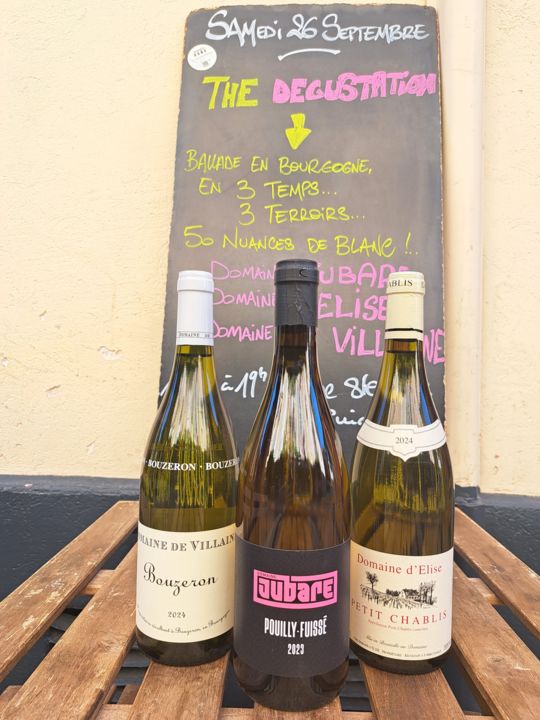 blancs_Bourgogne
