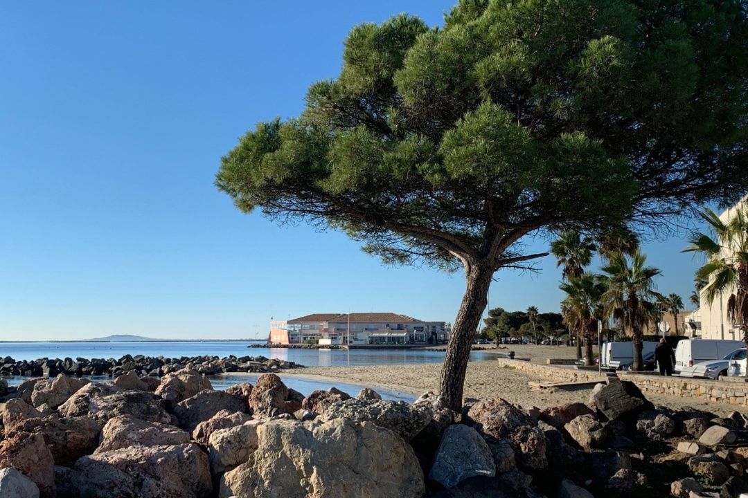 Les voiles blanches a meze me 172_1