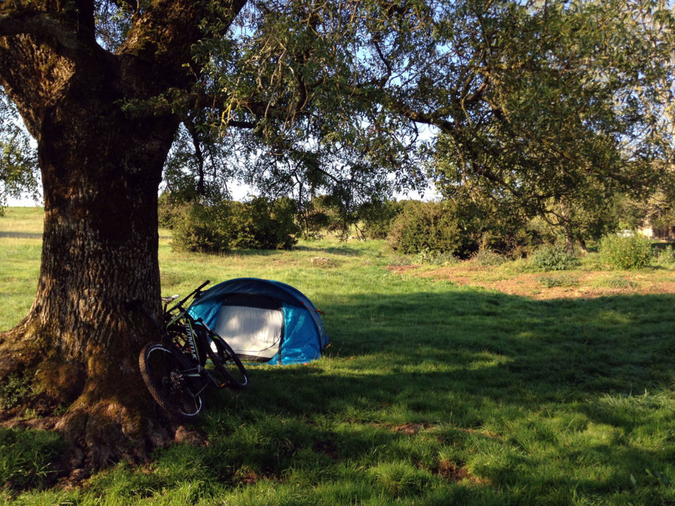 camping