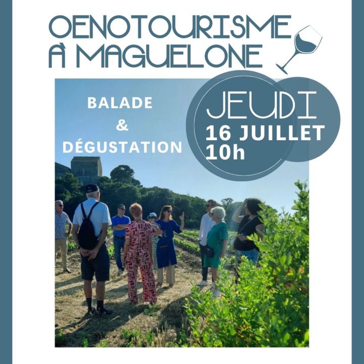 mardi dégust et jeudi oeno été 2026 (1080 x 1080 px) - carré - balade et dégustation 16/07