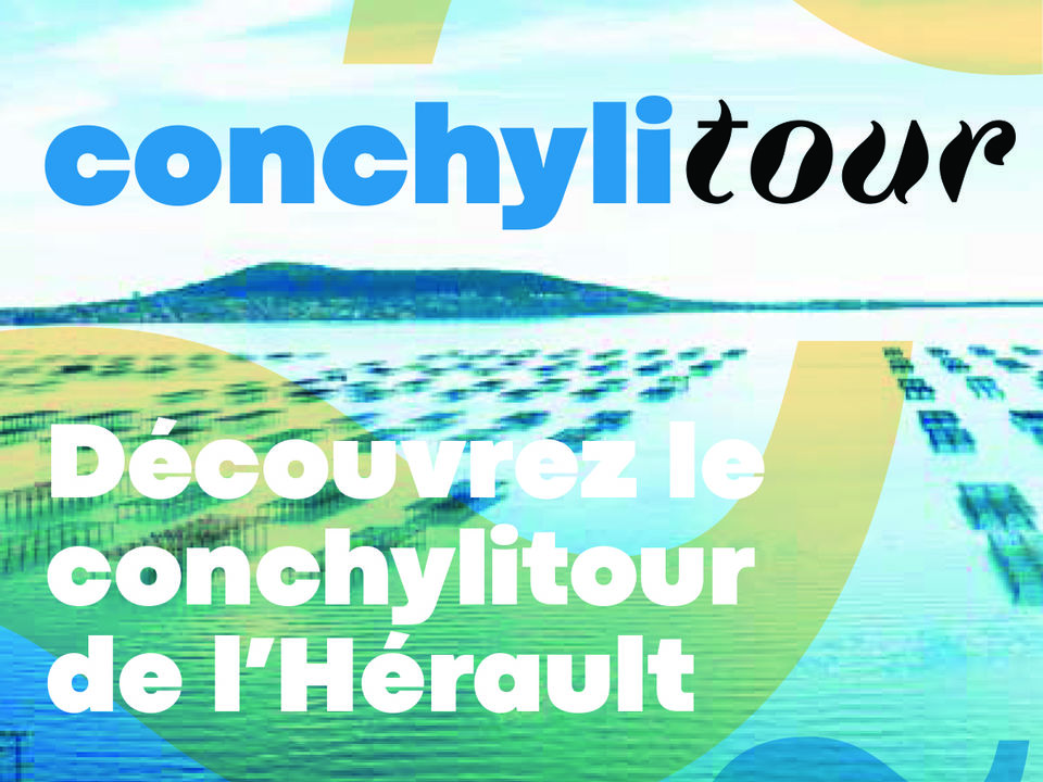 couv conchy