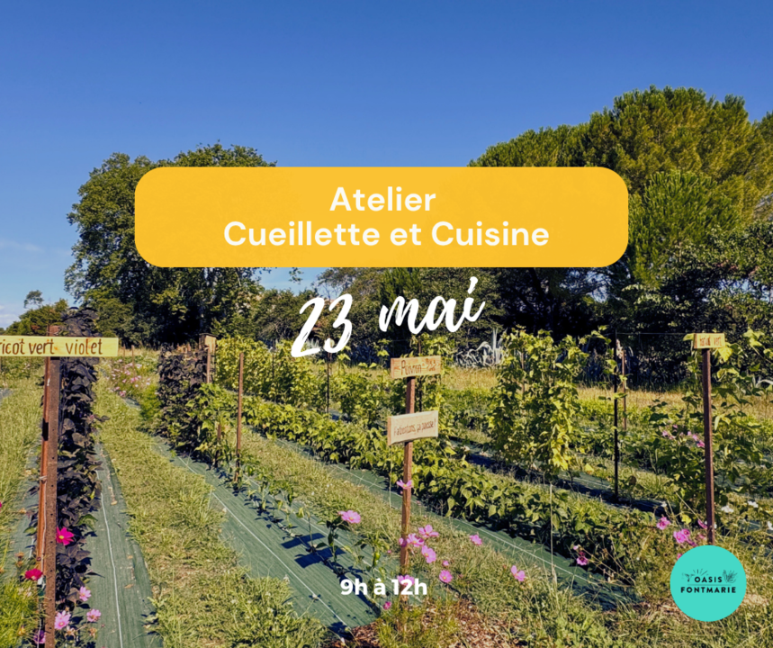 Cueillette et Cuisine