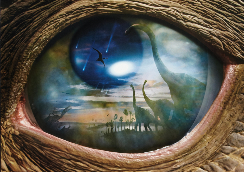 dinosaure - 5