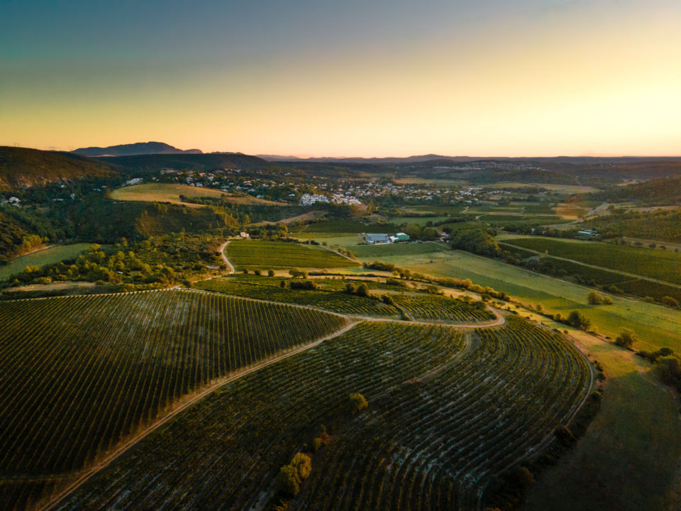 domaine