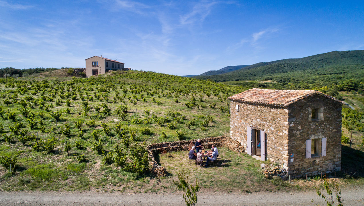 domaine-de-cebene--drone--vignes-bd-Olivier-Octobre-2