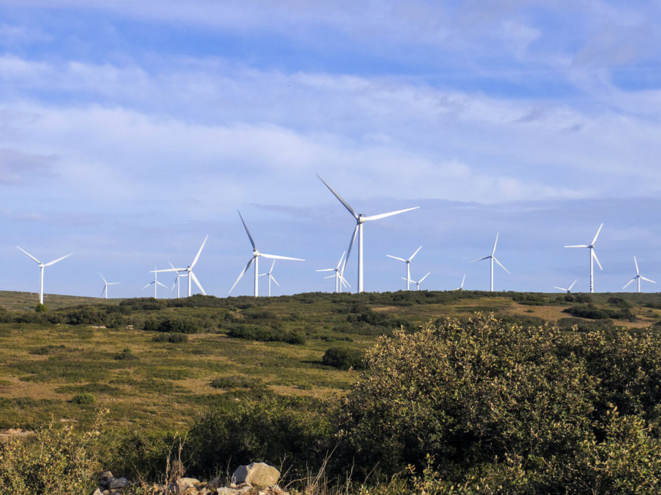 Balade nature : Les éoliennes