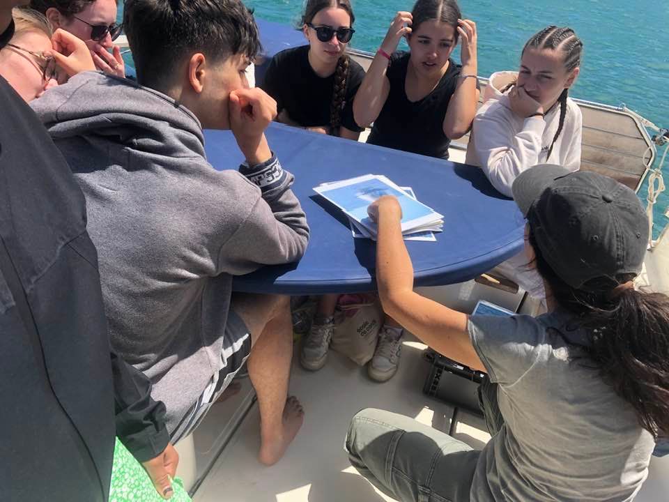 Terre Marine au départ du Cap d'Agde - Sorties en catamaran électrique