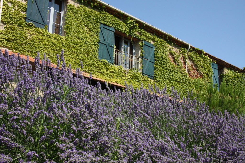 gite des vignes facade