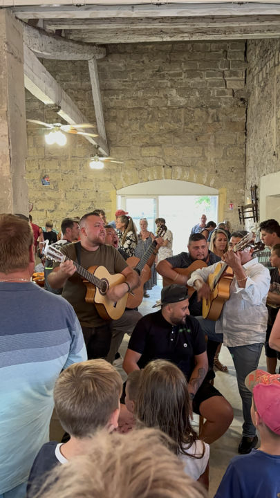 img-0172-camarguaise-12379717