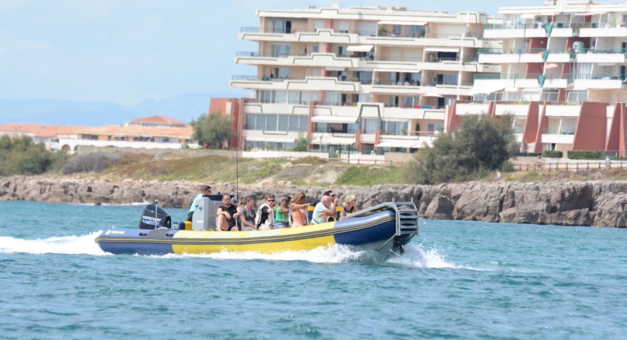 SORTIE BATEAU AVEC CAP CARAÏBES : EXCURSION EN SPEED BOAT