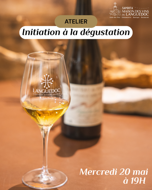 initiation dégustation mas de saporta - 1