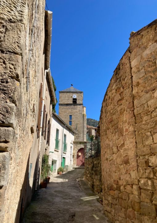 les salces