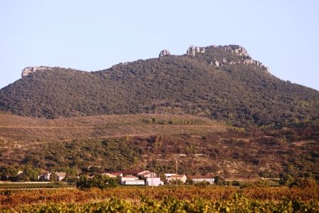 mas d' estelle (2)