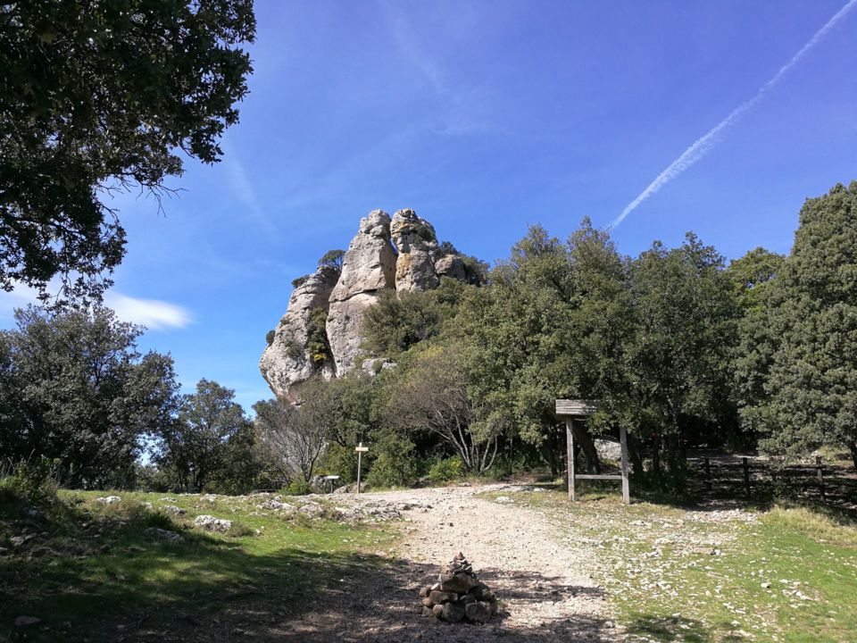 oenorando-st-saturnin--12---Gilles-Delerue
