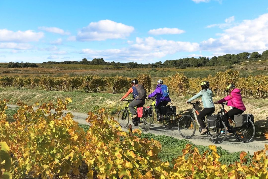 oenovelo-saint-chinian-au-canal-du-midi-vignoble-quarante-jerome-pelig-12466(1)