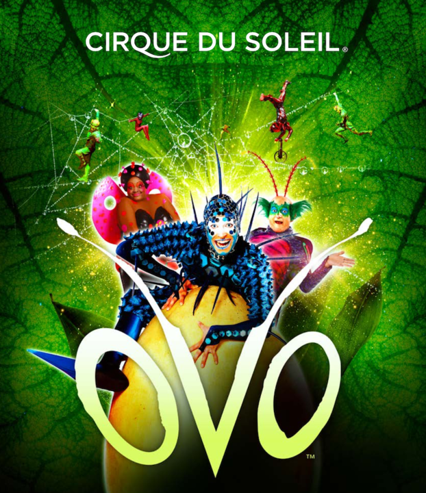 ovo-cirque